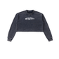 Snow Washed Raw Edge Cropped Sweatshirt